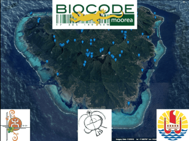 Screen Shot 2017-04-25 at 7.21.58 AM